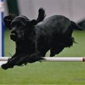 Tripper agility 11 03 2018